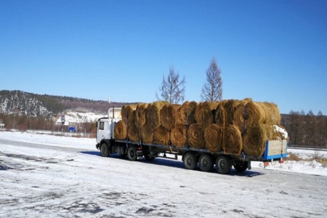 В Якутию привезли некачественное амурское сено