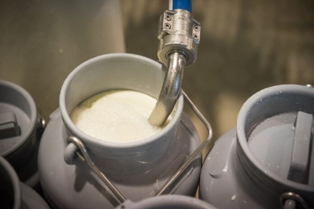 Переработчики молока в Башкирии несут убытки из-за резкого роста цен на сырье
