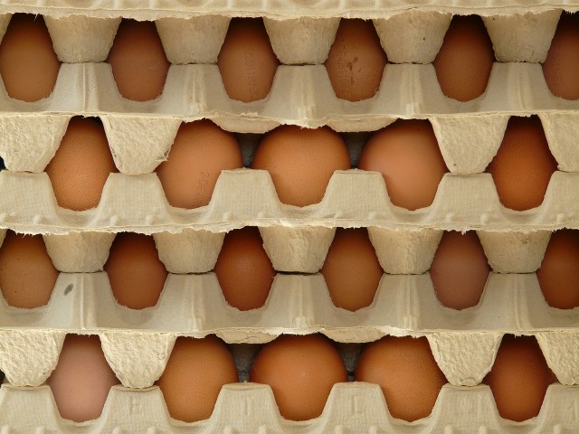 Птицеводы попросили ФАС проверить цены на яйца в магазинах