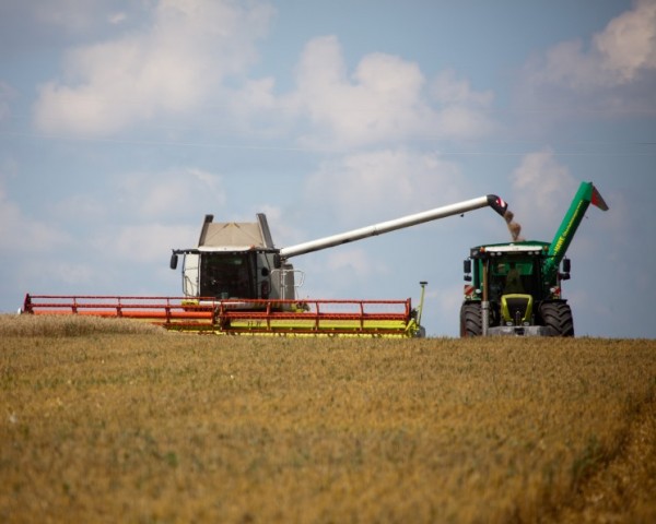 Аналитики «Русагротранса» повысили прогноз урожая пшеницы