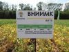 
Урожай зерна в РФ в 2022 году составит около 123 млн тонн