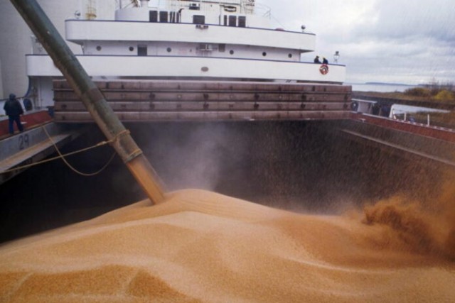 Экспортные ограничения неоднозначно влияют на российский зерновой рынок