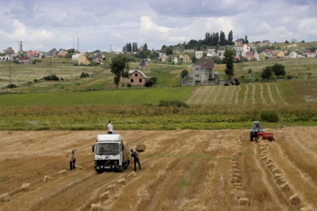 Сельское хозяйство в условиях санкций против России — мнение экспертов
