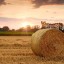Чешская PPF Group продала агрохолдинг «РАВ-Агро»