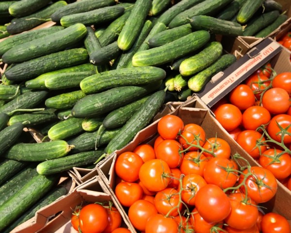 Минсельхоз разработал подпрограмму селекции и семеноводства овощей