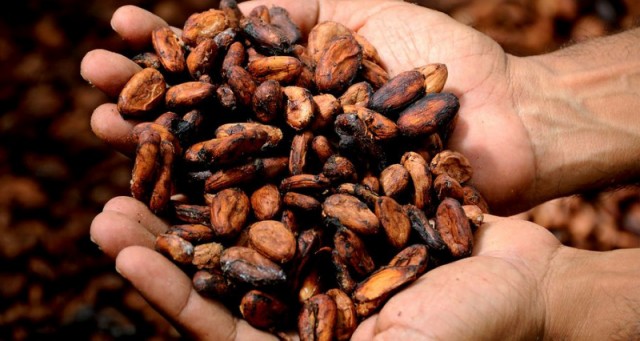 Cargill завершил модернизацию завода по переработке какао в Кот-д&#039;Ивуар