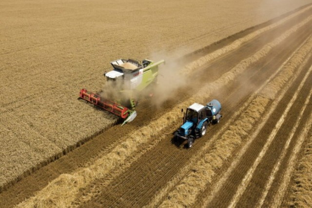 В Европе могут снизиться объемы урожая без российских азотных удобрений