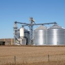 Внедрение системы прослеживаемости зерна могут отложить на год