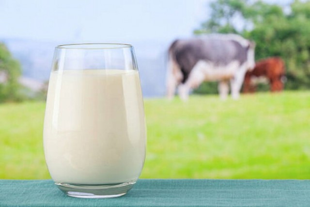 Рост цен на молоко и молочные продукты неизбежен