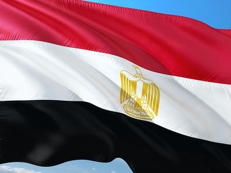 Россия может удвоить поставки аграрной продукции в Египет