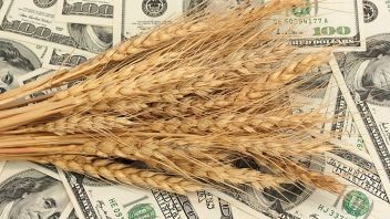 
Цены на пшеницу достигли 14-летнего максимума, российско-украинский конфликт ограничивает предложен