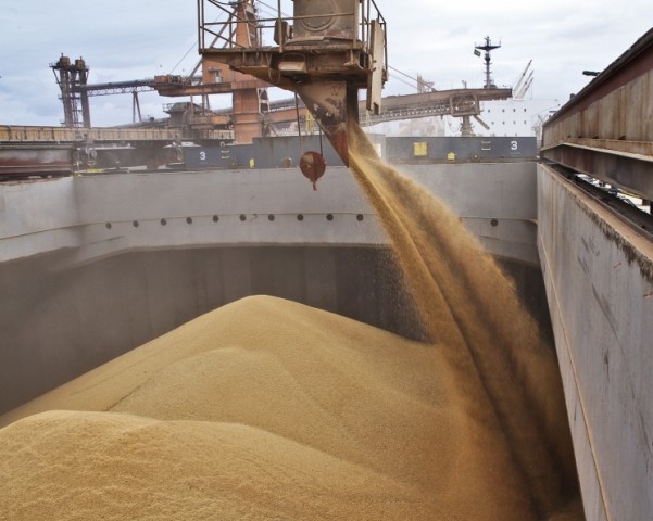 Российский зерновой союз просит срочно отменить пошлины на экспорт зерна и масличных