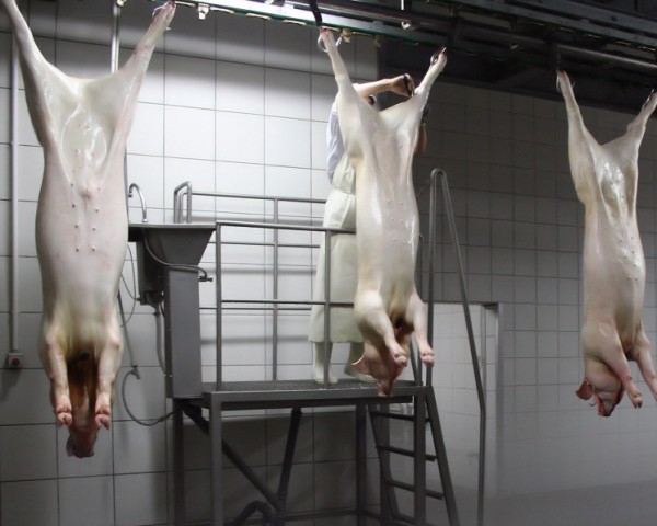 Себестоимость производства свинины в этом году может вырасти на 23%
