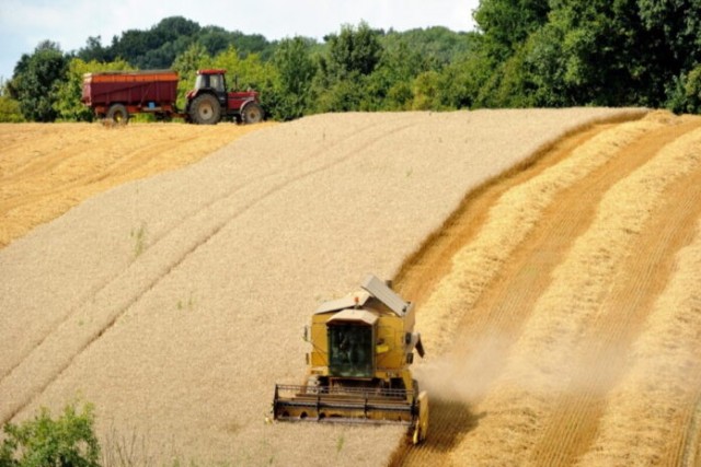 Аграрии Аргентины выступают против действующих экспортных пошлин на зерновые