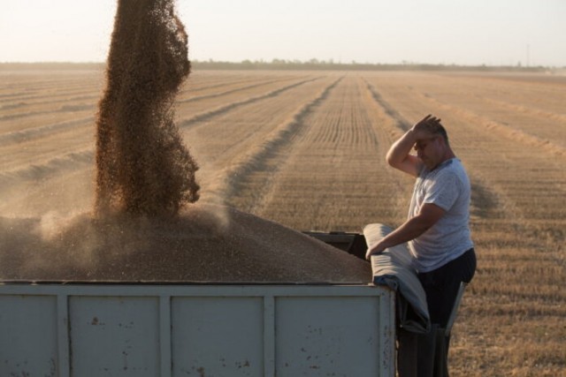 Роль фермеров в реализации потенциала АПК растет — Путин