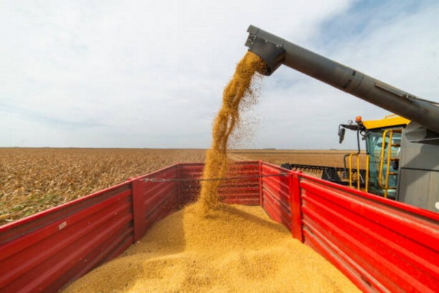 Проблем с экспортом зерна быть не должно — Российский зерновой союз