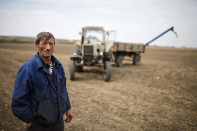 Алтайские фермеры не хотят связываться с господдержкой