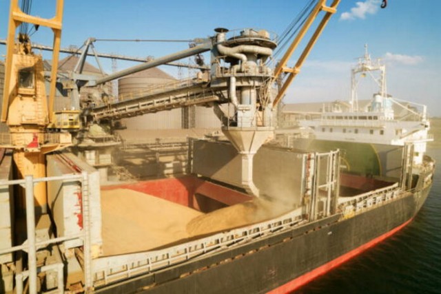 Проблем с экспортом зерна быть не должно — Российский зерновой союз