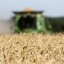 РЗС: в мае экспорт пшеницы вдвое превысил результат прошлого года