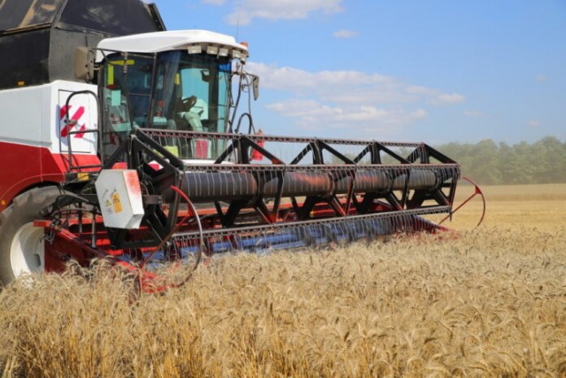 В РФ второй месяц подряд снижается производство сельхозпродукции