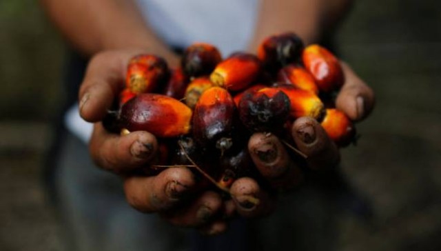 Эксперты ВОЗ: Пальмовое масло опасно!