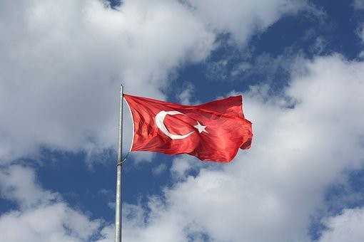 Турция стала крупнейшим покупателем российской продукции АПК