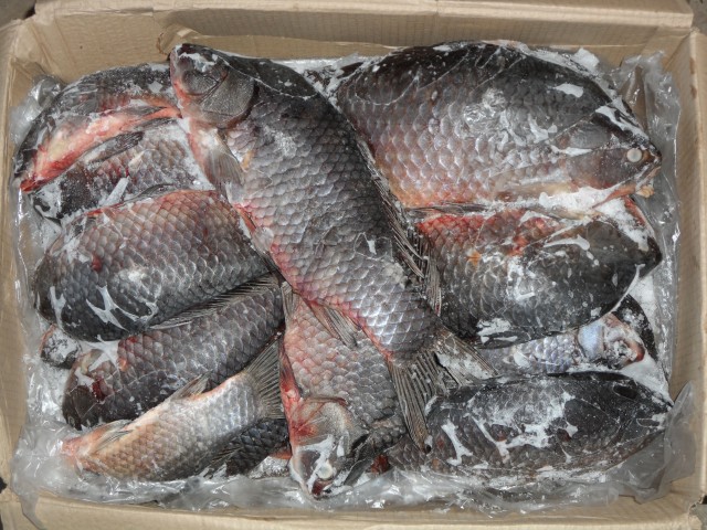 Вступили в силу новые правила производства и продажи рыбной продукции