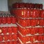 Продажа томатов с зеленью в заливке в банках оптом от производителя 1